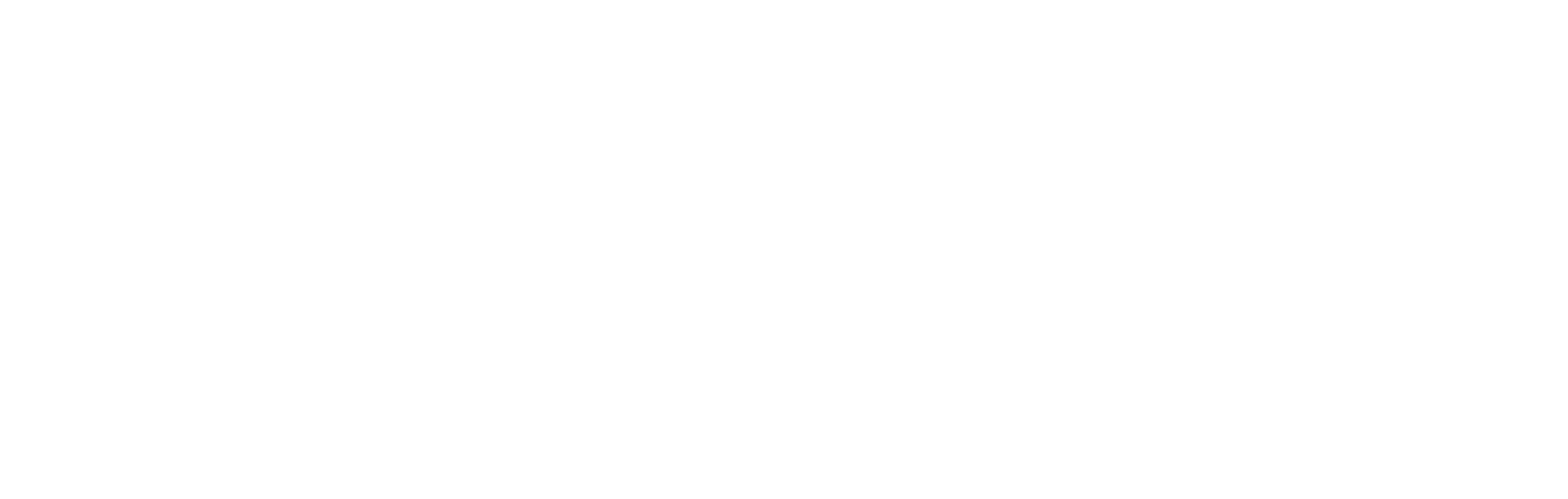 CitizenAI